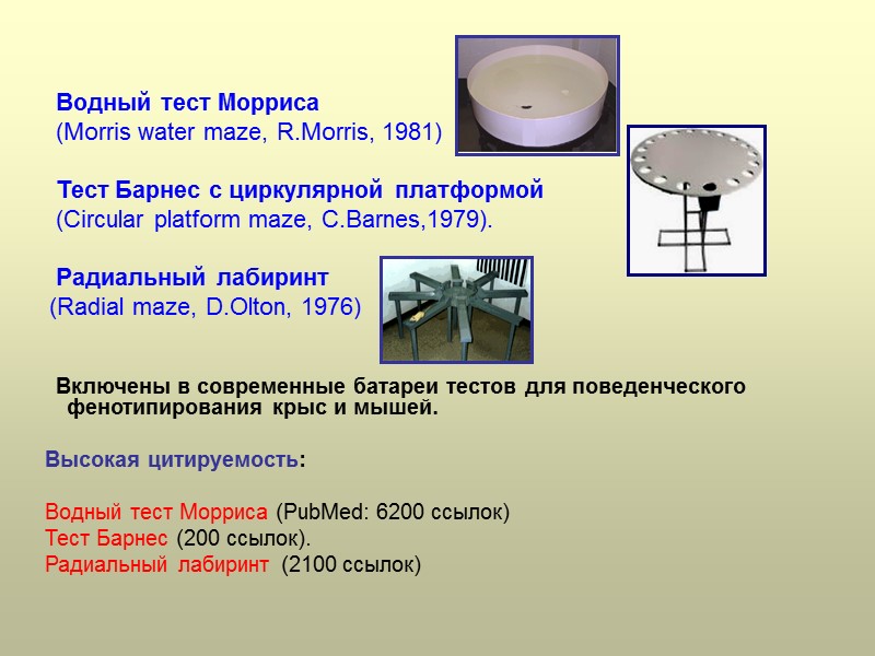 Водный тест Морриса         (Morris water maze,